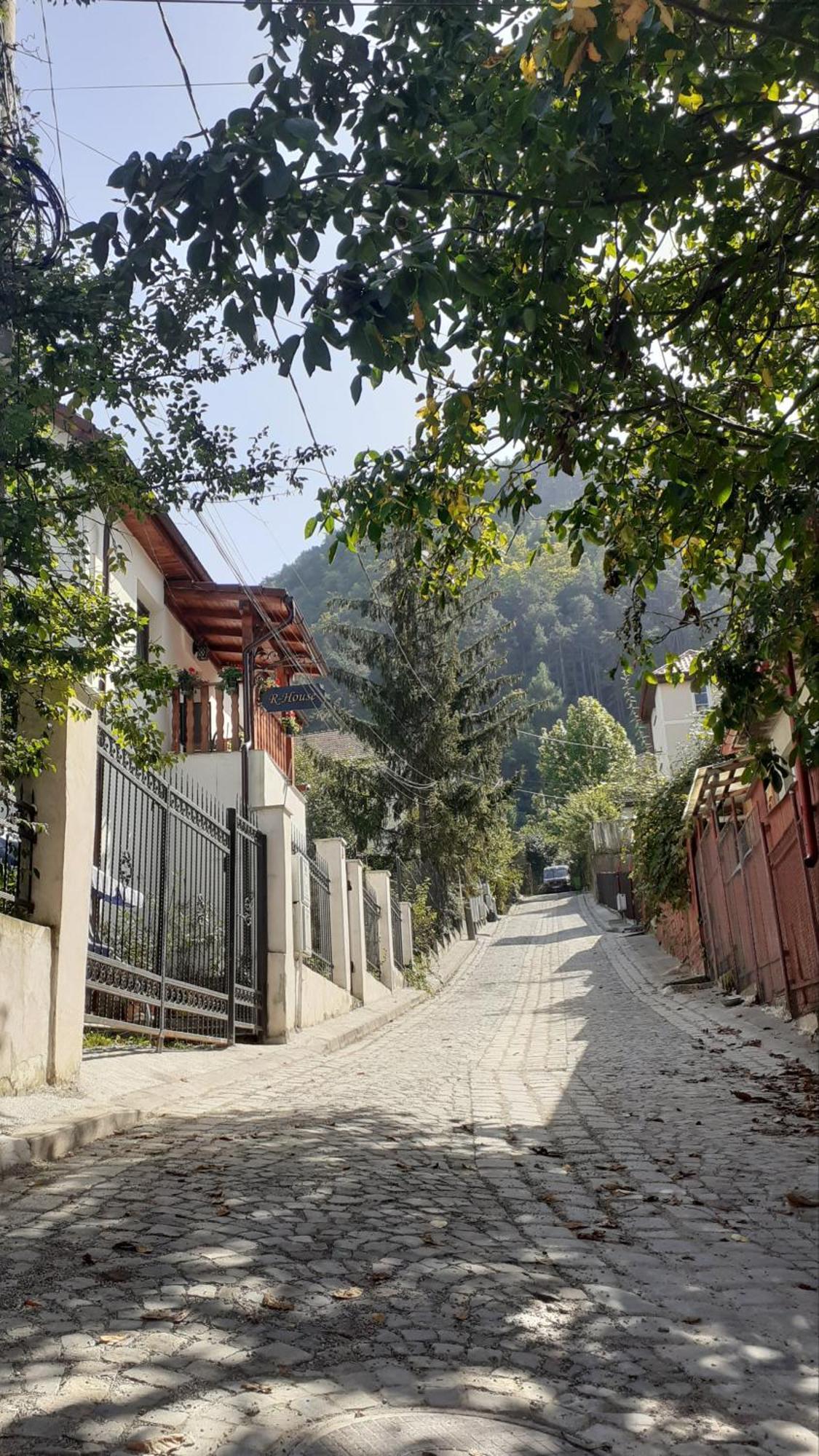 R-House Daire Braşov Dış mekan fotoğraf
